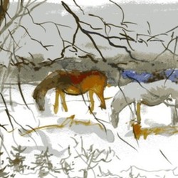 horses in winter