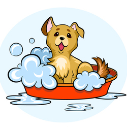 Купание щенка puppy washes