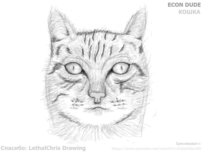 Иллюстрация Рисунок лица кошки компьютерной мышкой в стиле 2d,
