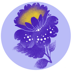 петриківка