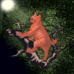 Дикая кошка 