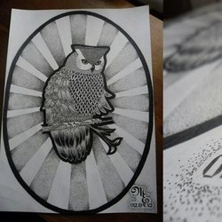 Точечная сова