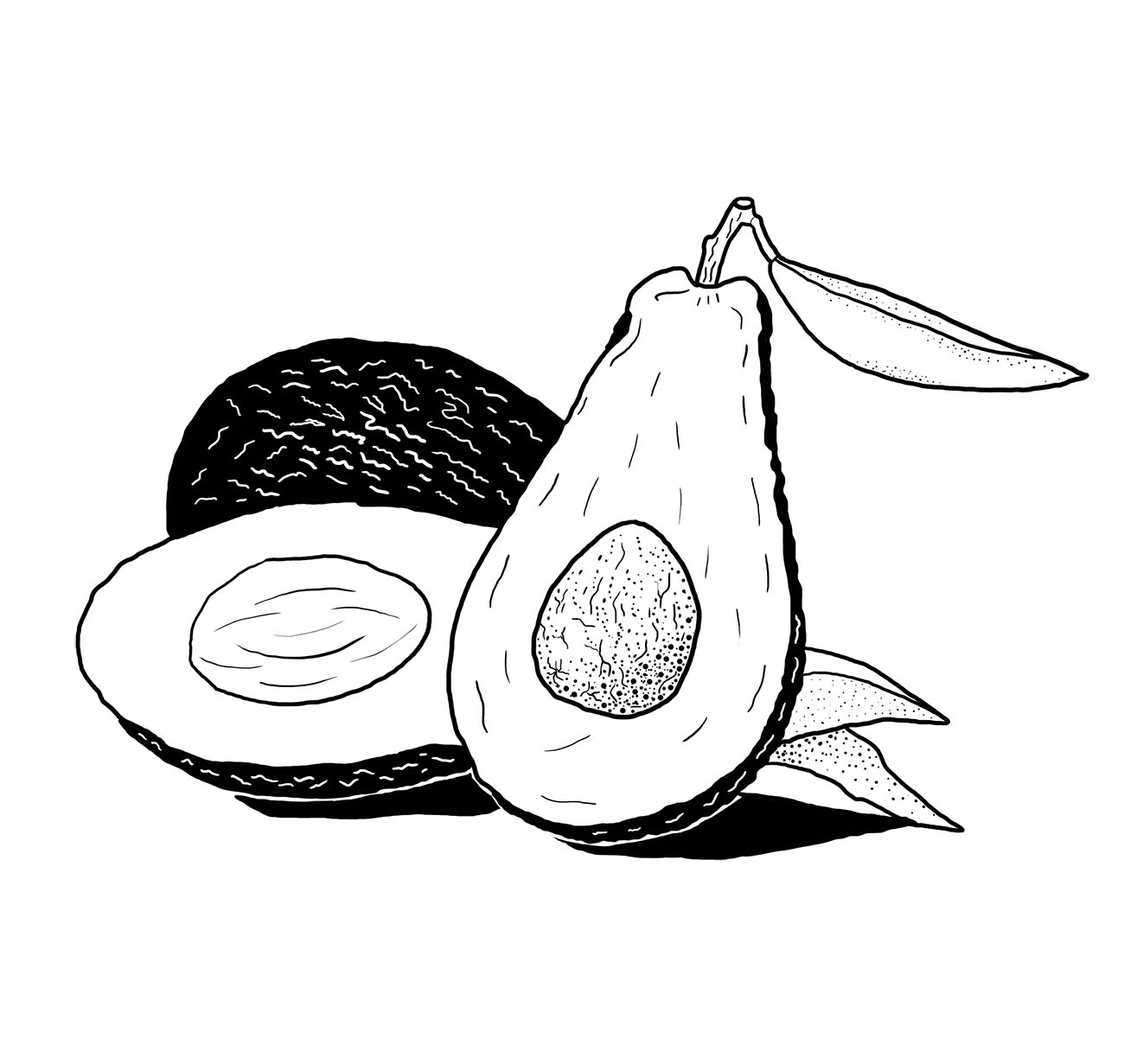 Авокадо раскраска чёрно-белая