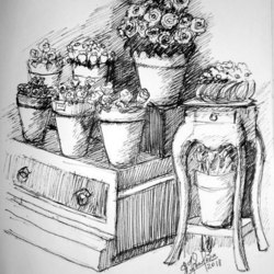 Салон цветов