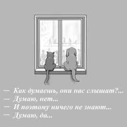 Кот и пес