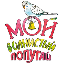 Мой волнистый попугай