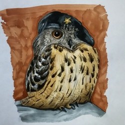 Owl