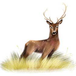 Deer / Олень