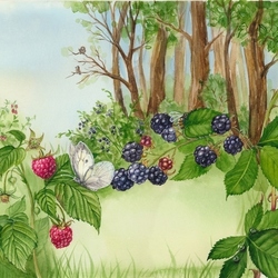 Иллюстрация " Лесные ягоды"