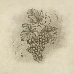 Иллюстрация к винной карте