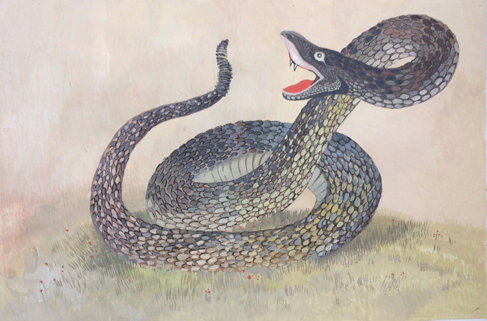 Крылов басни змея. Ушинский гадюка это произведение. Рассказ гадюка Ушинского. Гадюка Ушинский рассказ. А.Н. Толстого "гадюка".