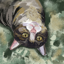 Угол зрения! 