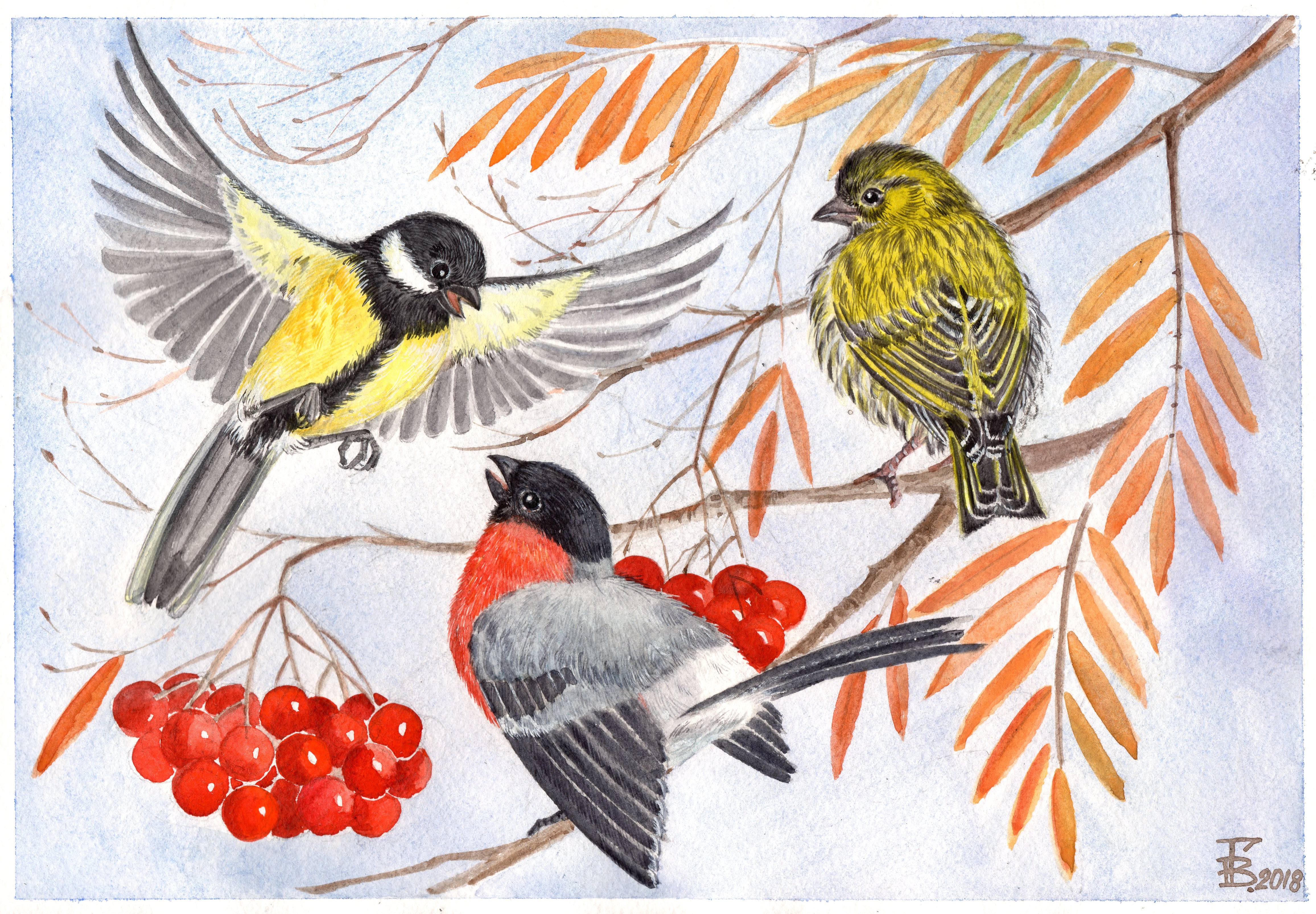 Дикие птицы и их птенцы: литературно-художественное издание для чтения родителями детям