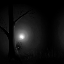 Dark forest