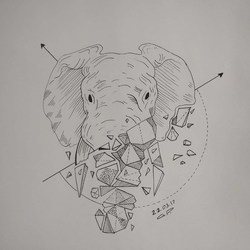 elephant