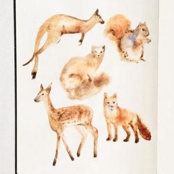 животные в акварели