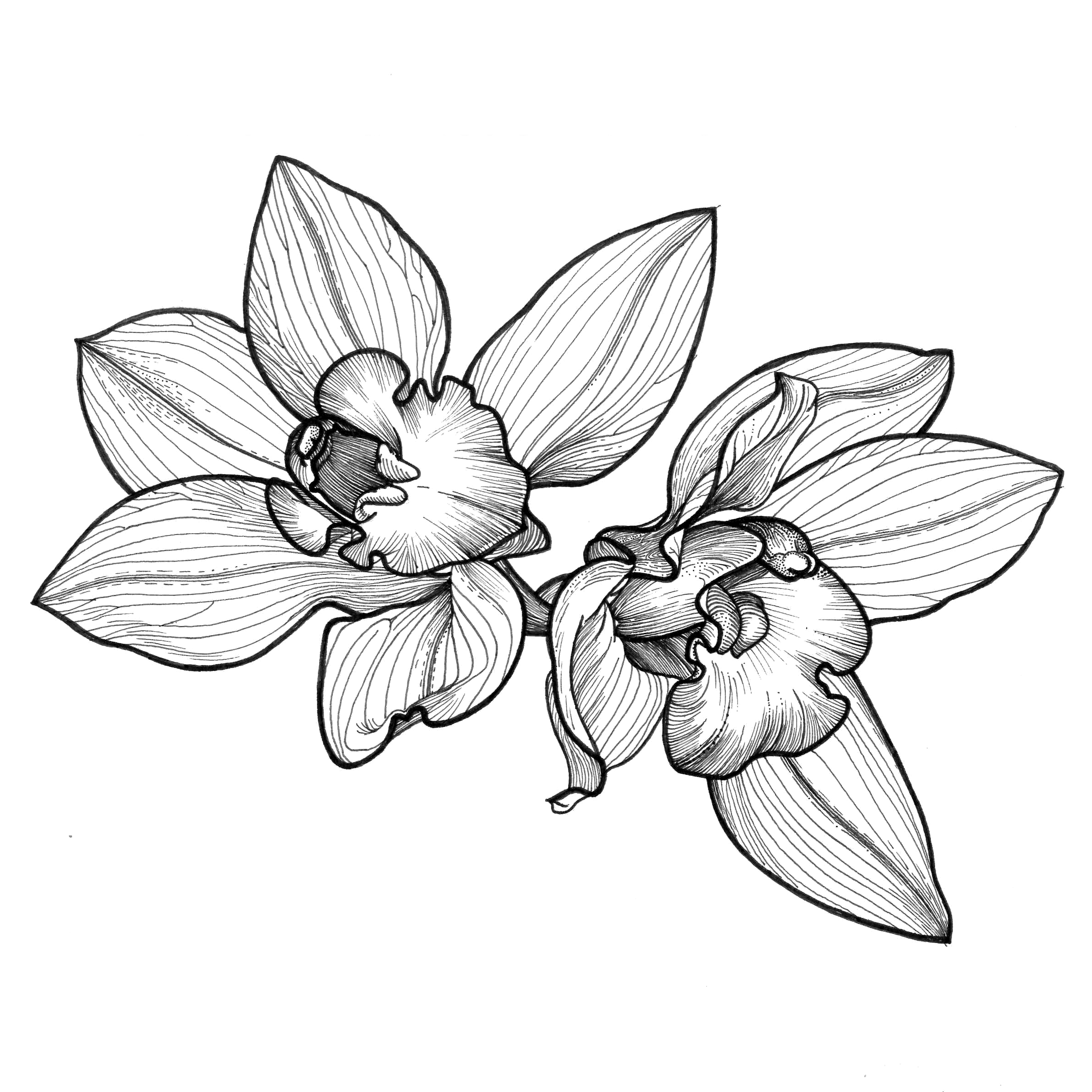 Татуировка Орхидея эскизы