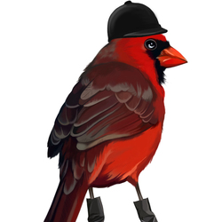 птичка кардинал