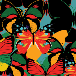 "Красочные бабочки"