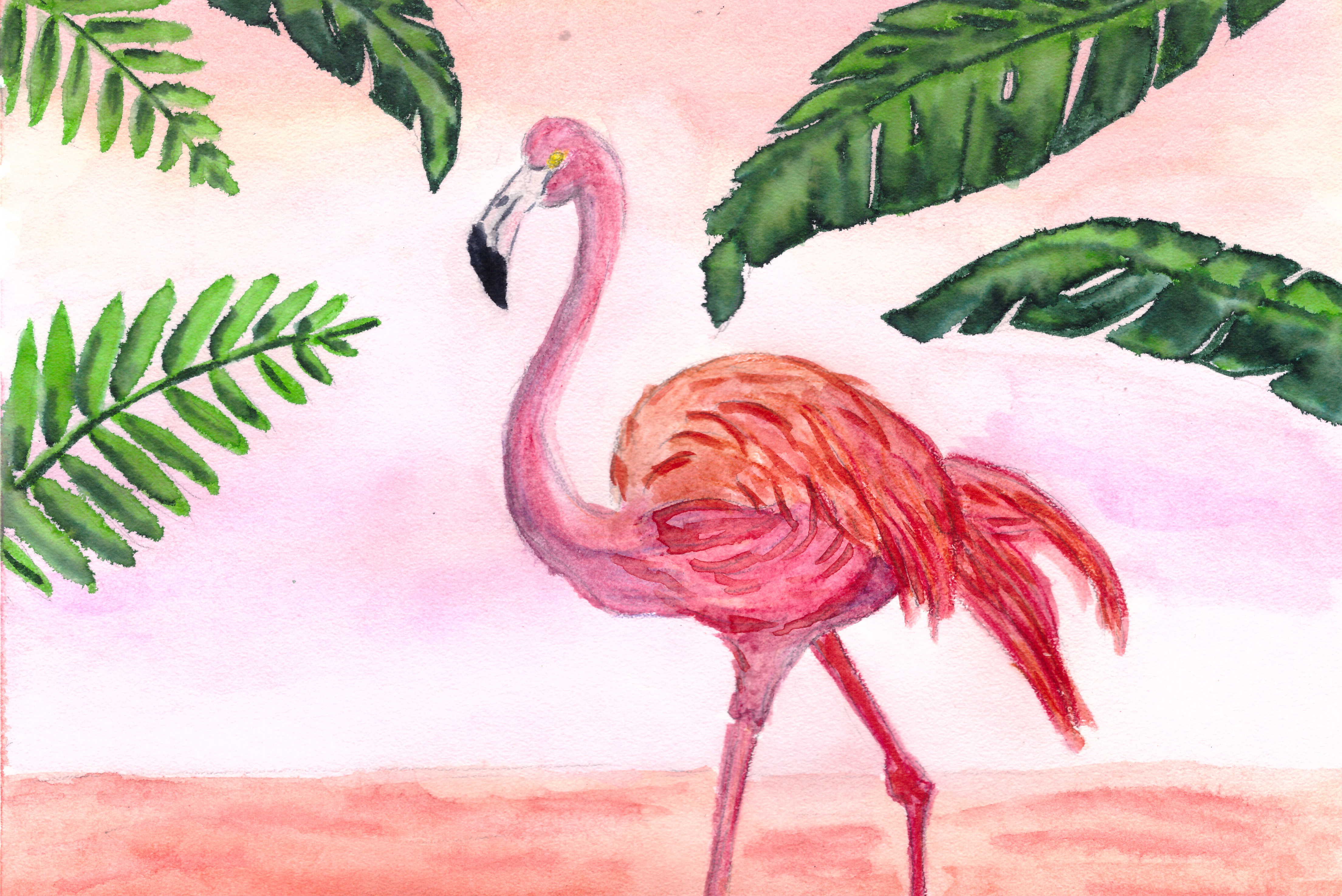 Фламинго легко. Фламинго. Фламинго карандашом. Рисование с детьми Фламинго. Розовый Фламинго карандашом.