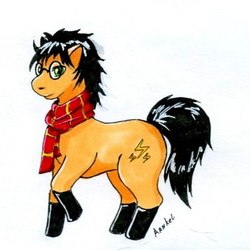 Пони-Поттер