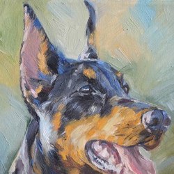 Белла Астра