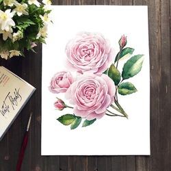 Иллюстрация пионовидных роз для свадебной полиграфии))