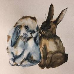 братцы кролики