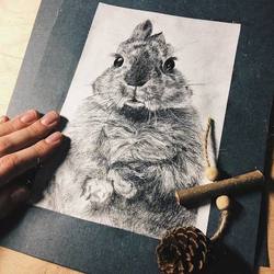 реалистичный кролик