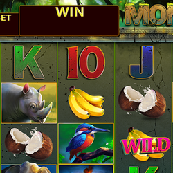 Monkey slots