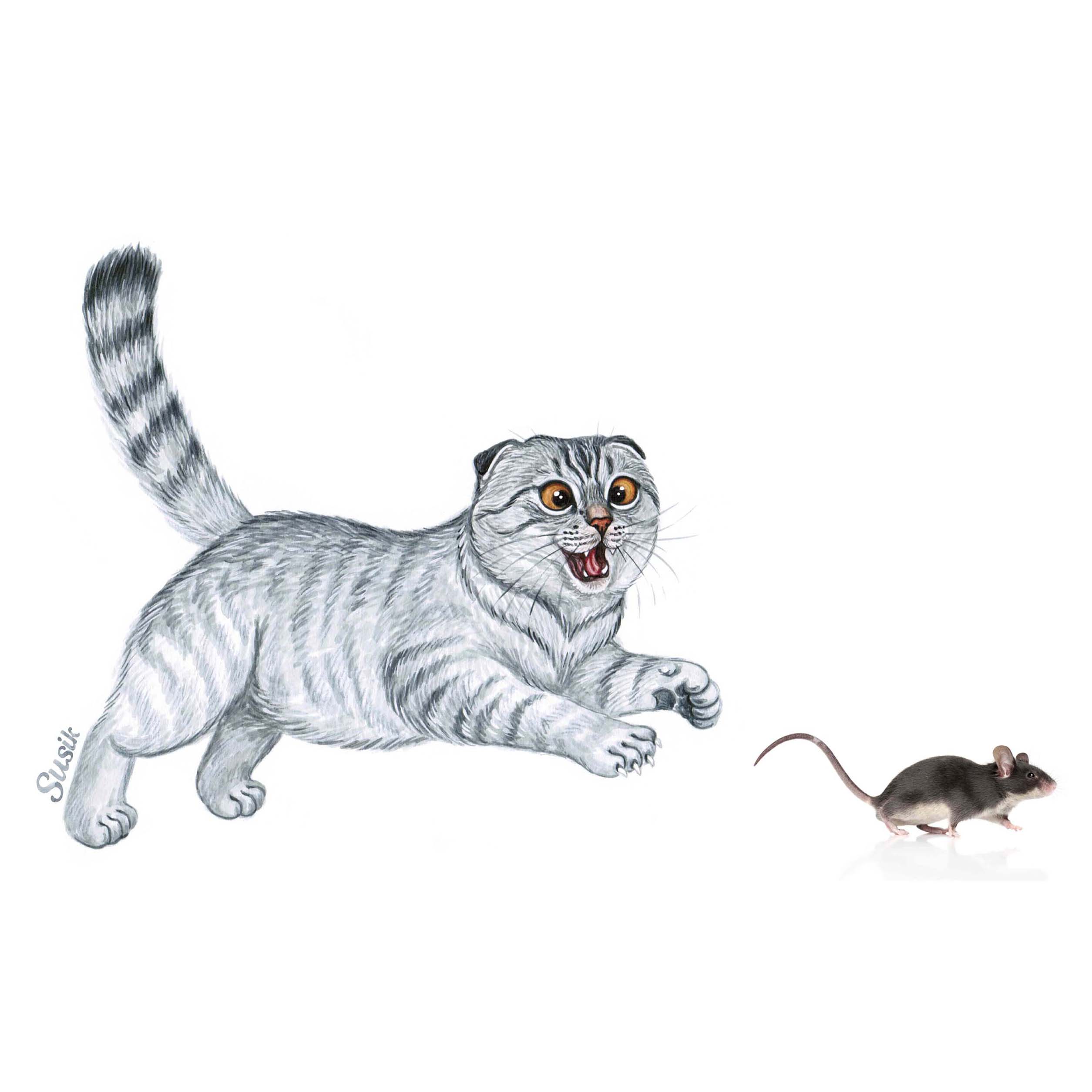 Раскраска Кот с мышкой
