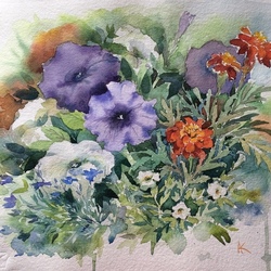 Петуньи и бархатцы 