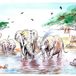 Слоны спасаются от жары