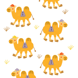 Camels