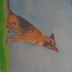 верный друг