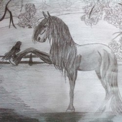 Конь вороной и ворон