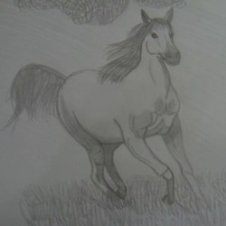 Быстрый конь