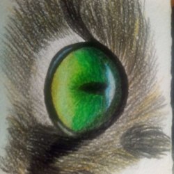 Кошачий глаз