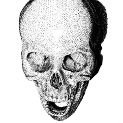 Череп/Scull