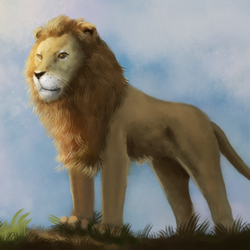 Lion