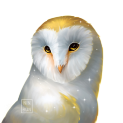 owl