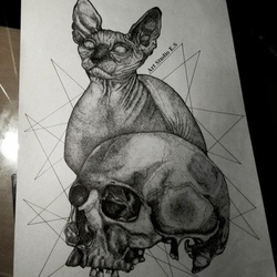 Сфинкс и череп