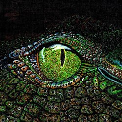 Reptile`s eye