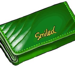 Money belt