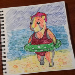 морская свинка