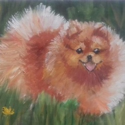 Шпиц. Работа маслом