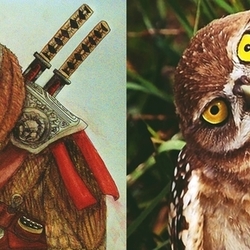 Ninja Owl :)