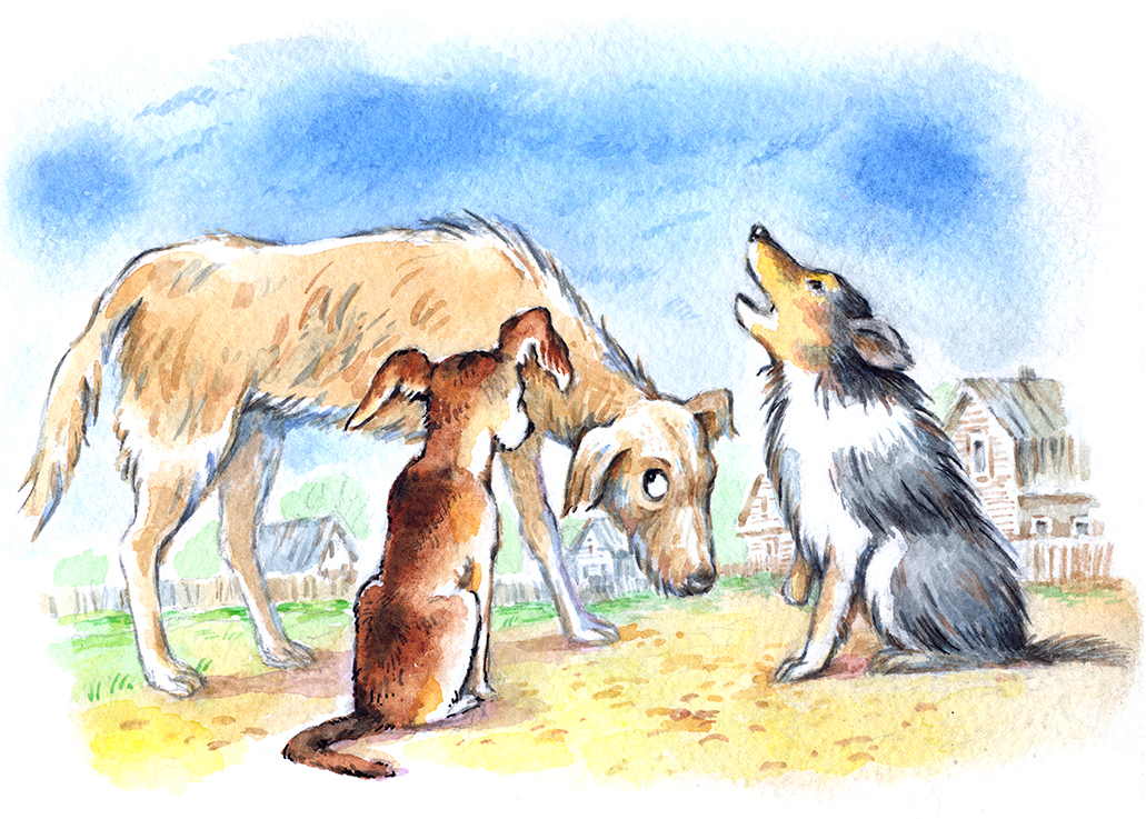 Собачье сердце иллюстрации. Иллюстрация к рассказу собачий нюх. Иллюстрация к рассказу собачья гордость. Играющие собаки Ушинский иллюстрации.