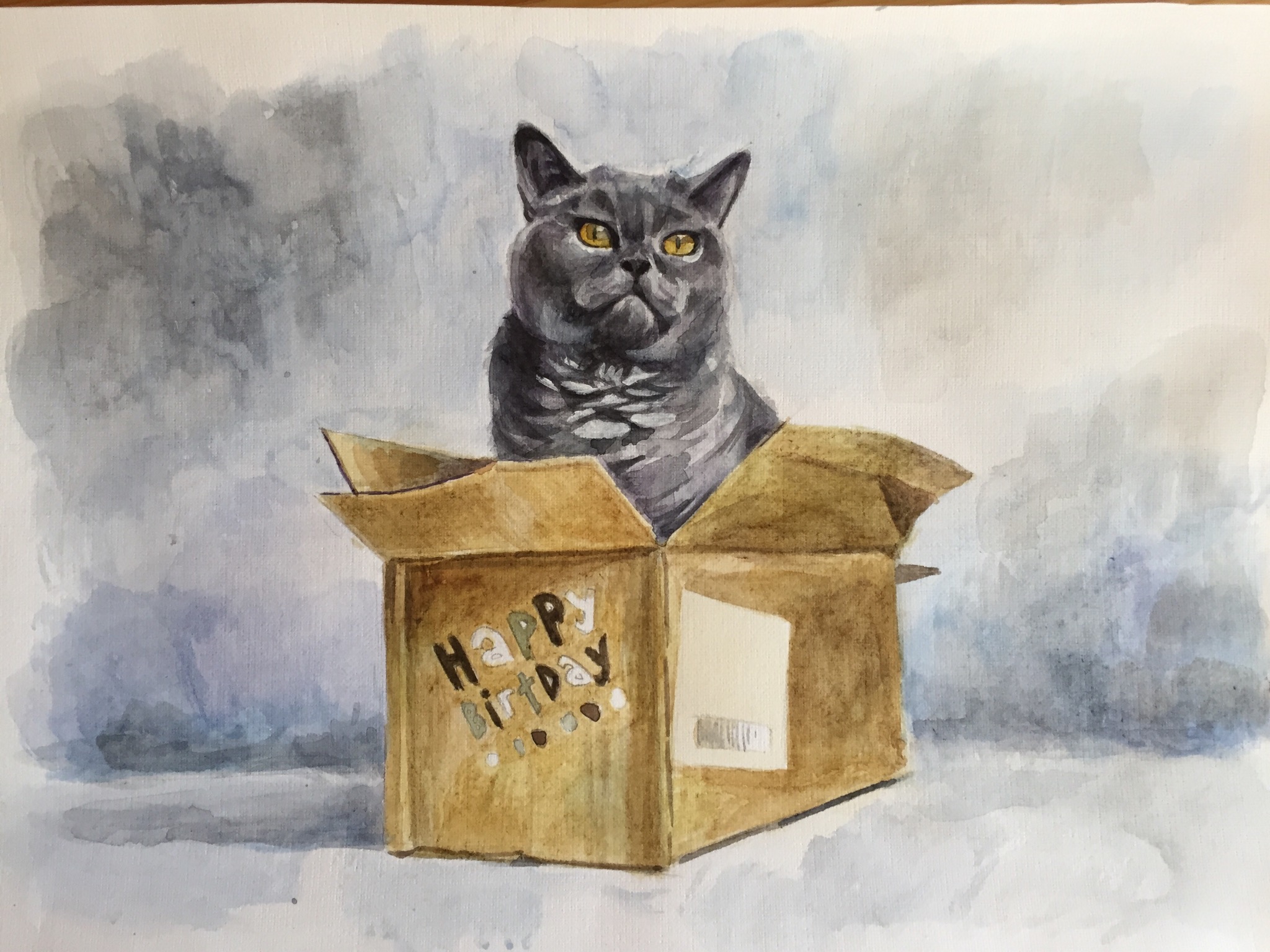Нарисовать кошку в коробке