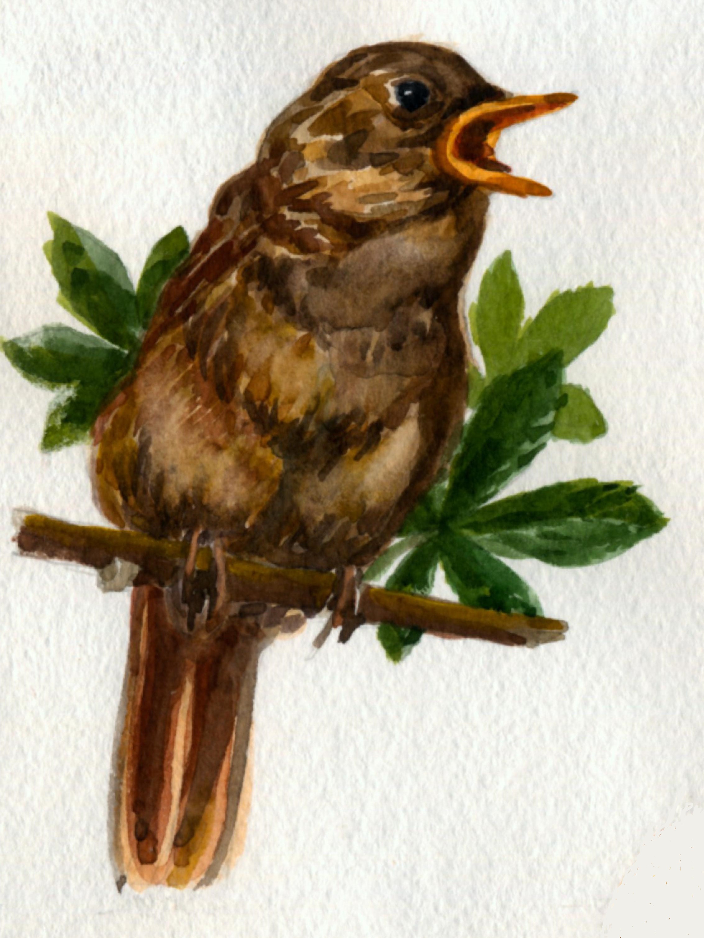 курский соловей